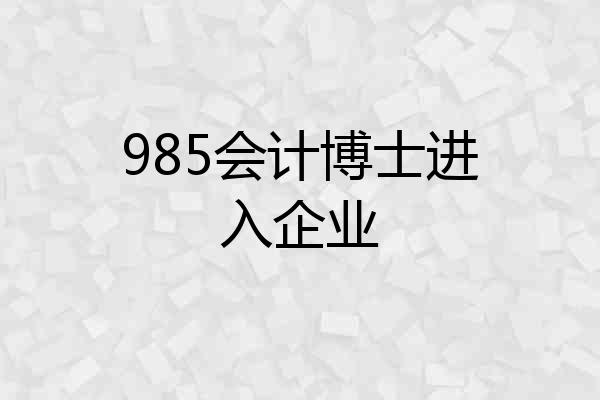 985会计博士进入企业