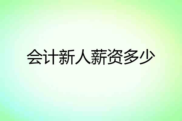 会计新人薪资多少