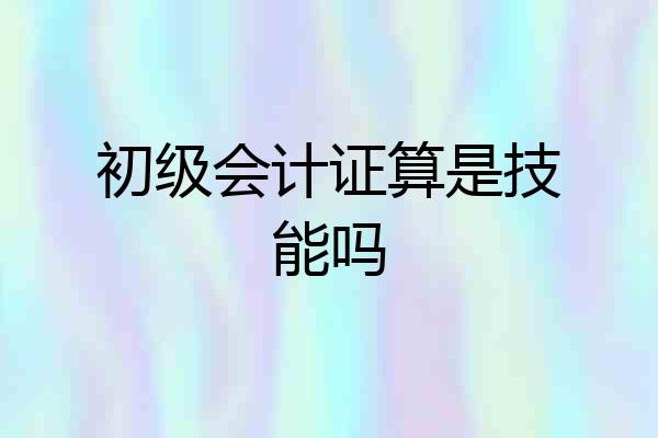 初级会计证算是技能吗