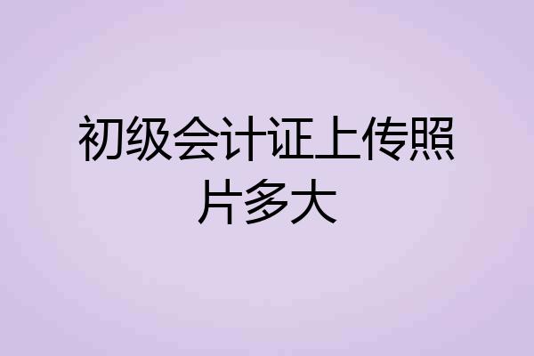 初级会计证上传照片多大