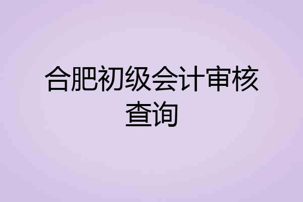 合肥初级会计审核查询