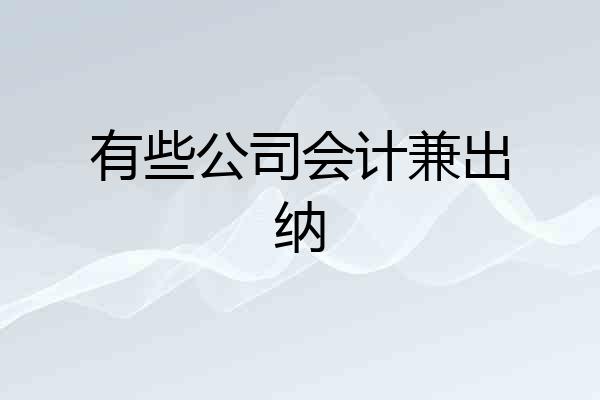 有些公司会计兼出纳