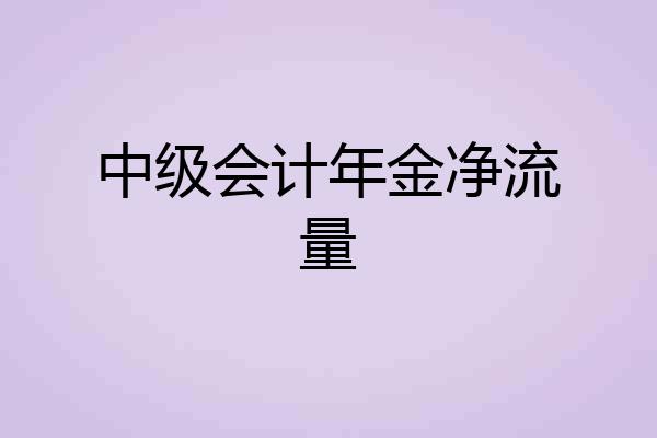 中级会计年金净流量