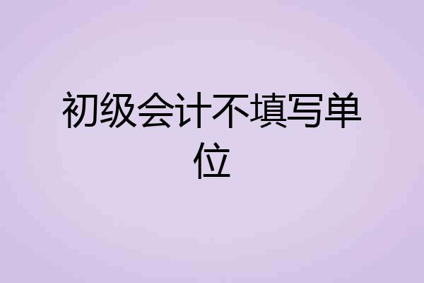 初级会计不填写单位
