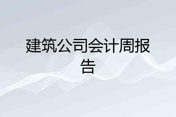 建筑公司会计周报告