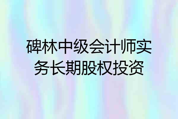 碑林中级会计师实务长期股权投资