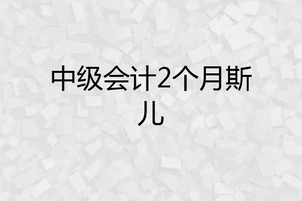 中级会计2个月斯儿