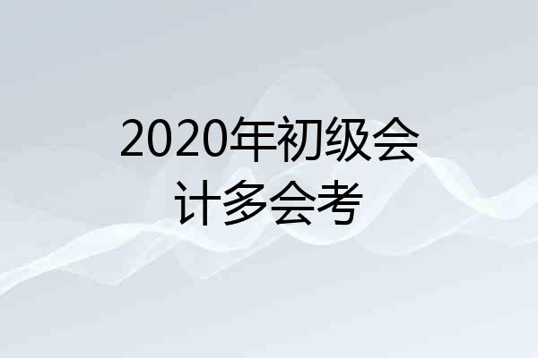 2020年初级会计多会考