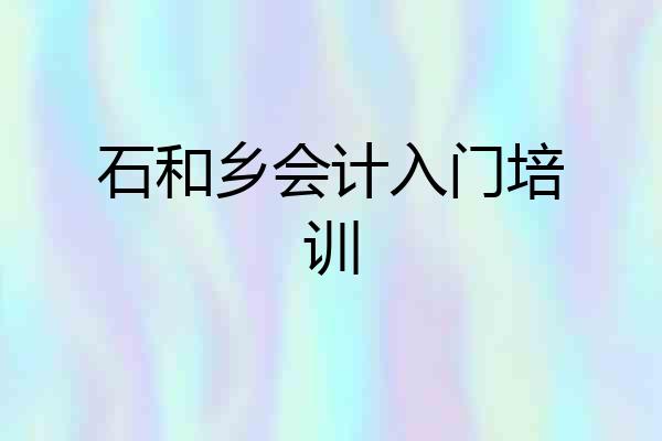 石和乡会计入门培训