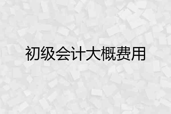 初级会计大概费用