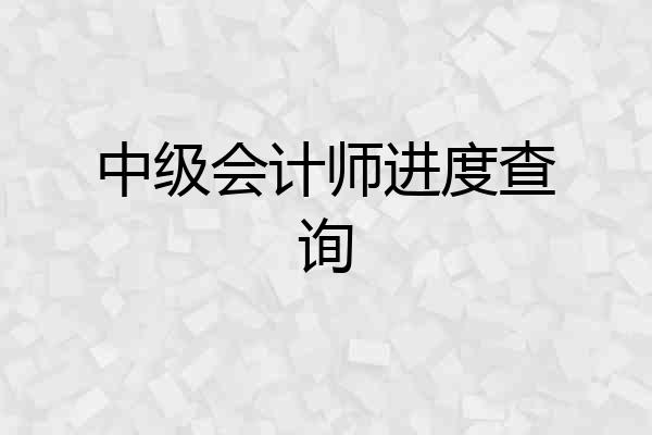 中级会计师进度查询