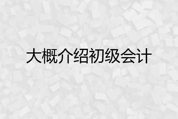 大概介绍初级会计