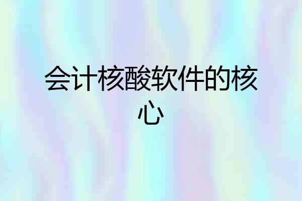 会计核酸软件的核心