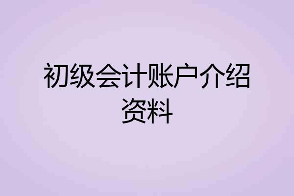 初级会计账户介绍资料