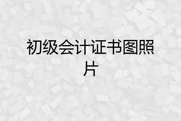 初级会计证书图照片