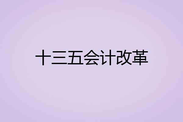 十三五会计改革