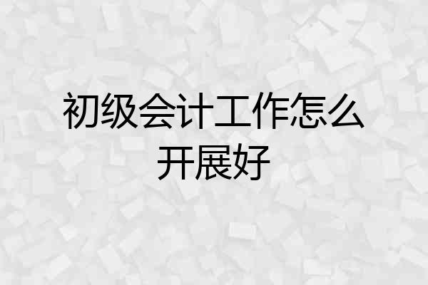 初级会计工作怎么开展好