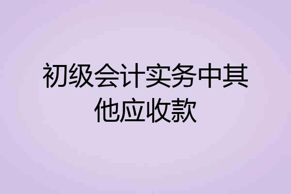 初级会计实务中其他应收款