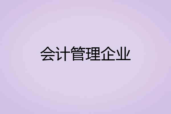 会计管理企业