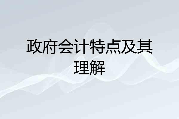 政府会计特点及其理解