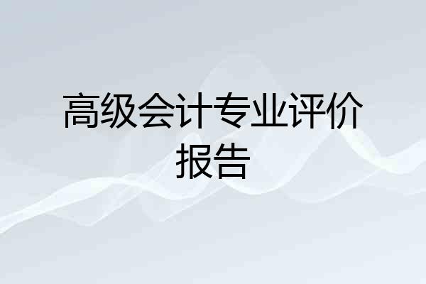 高级会计专业评价报告