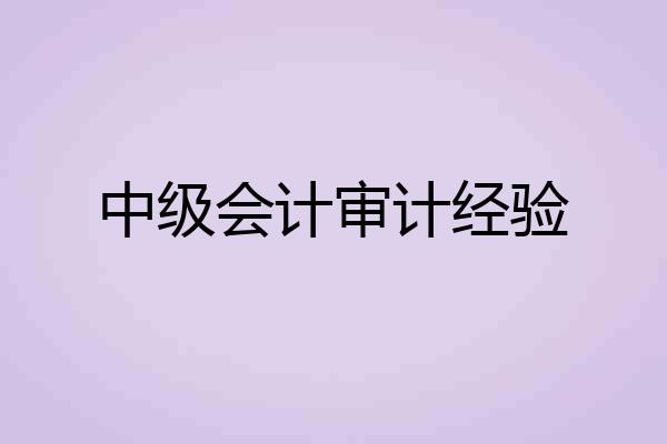 中级会计审计经验