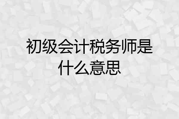初级会计税务师是什么意思