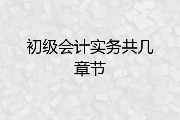 初级会计实务共几章节