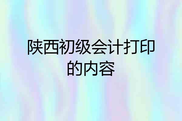 陕西初级会计打印的内容