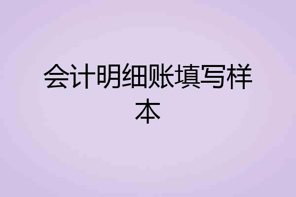 会计明细账填写样本