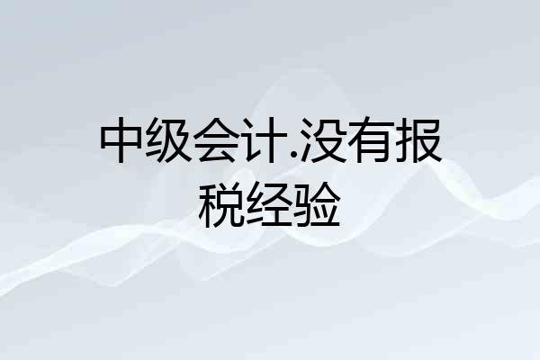 中级会计.没有报税经验