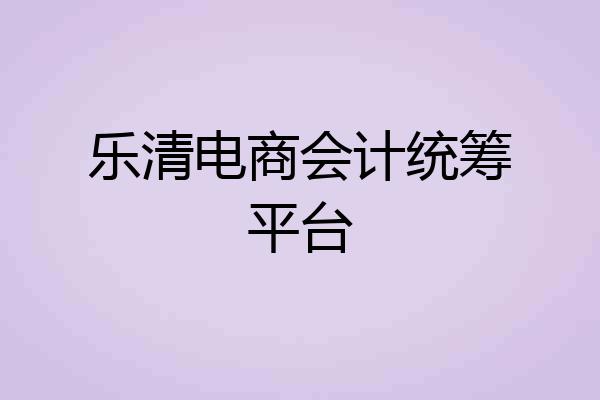 乐清电商会计统筹平台