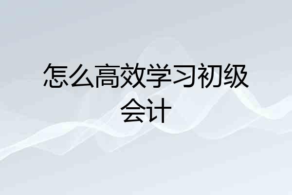 怎么高效学习初级会计