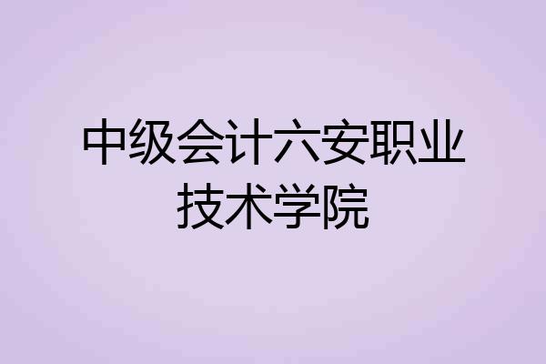 中级会计六安职业技术学院
