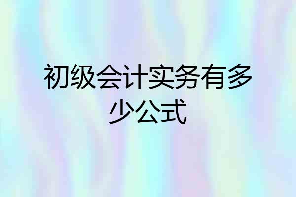 初级会计实务有多少公式