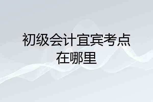 初级会计宜宾考点在哪里