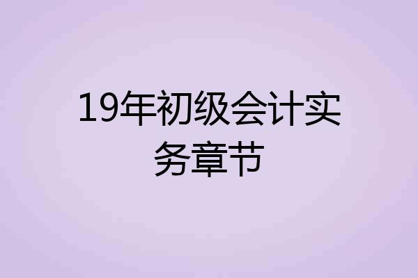 19年初级会计实务章节