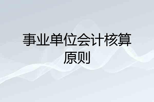 事业单位会计核算原则