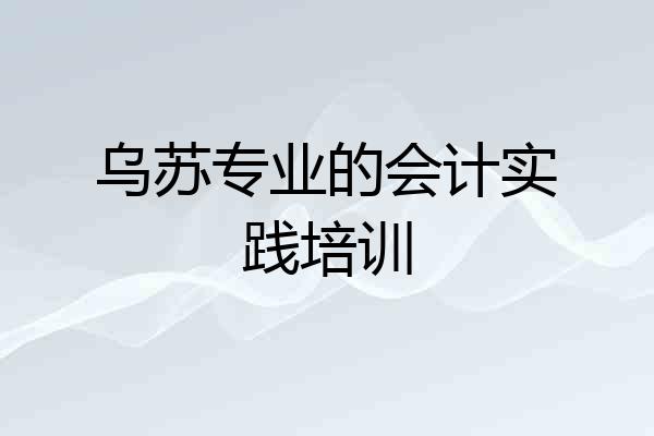 乌苏专业的会计实践培训