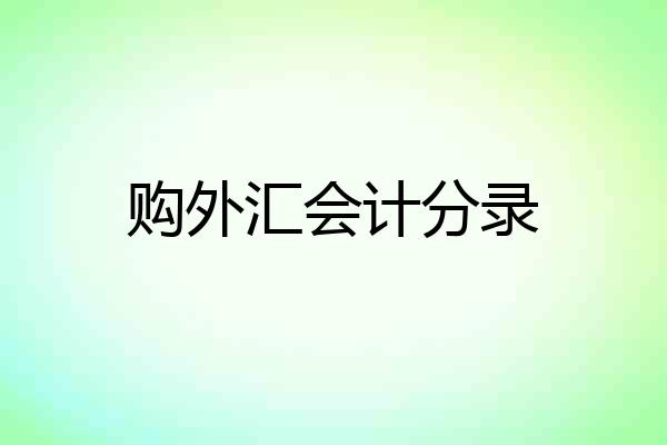 购外汇会计分录