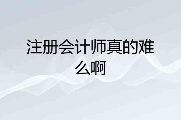 注册会计师真的难么啊