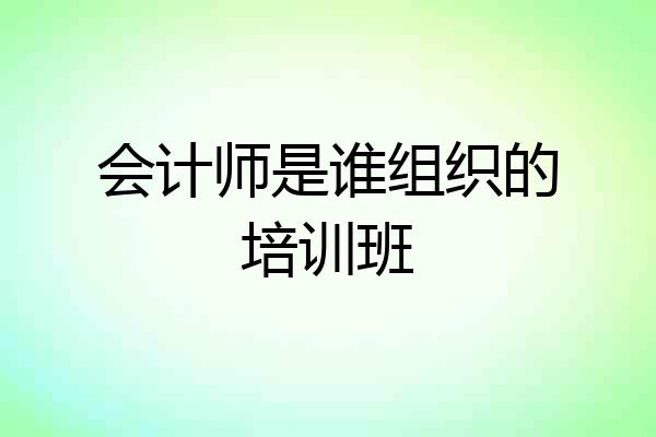会计师是谁组织的培训班