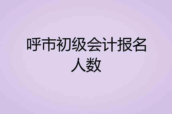呼市初级会计报名人数