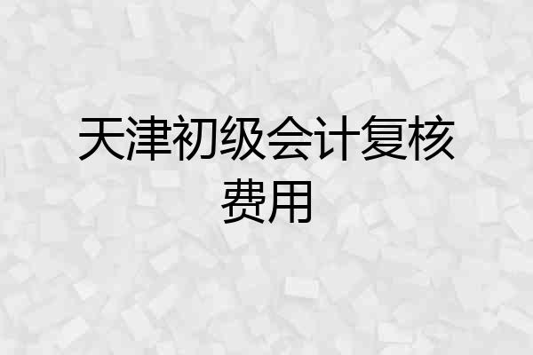 天津初级会计复核费用