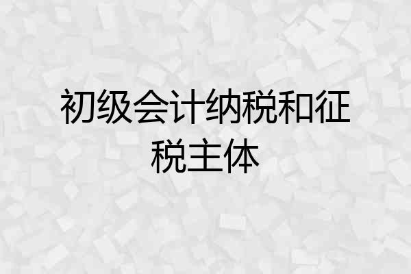 初级会计纳税和征税主体