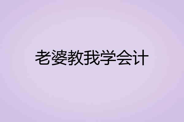 老婆教我学会计