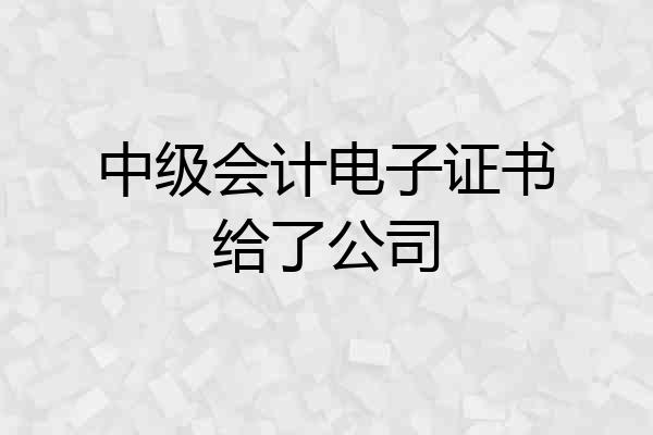 中级会计电子证书给了公司