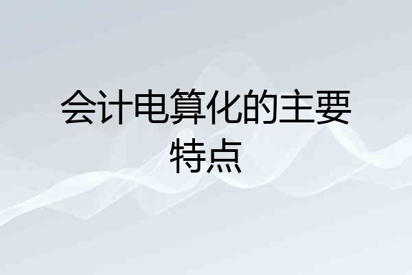 会计电算化的主要特点