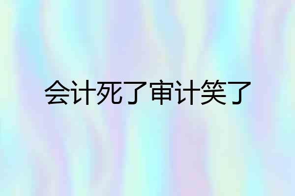 会计死了审计笑了