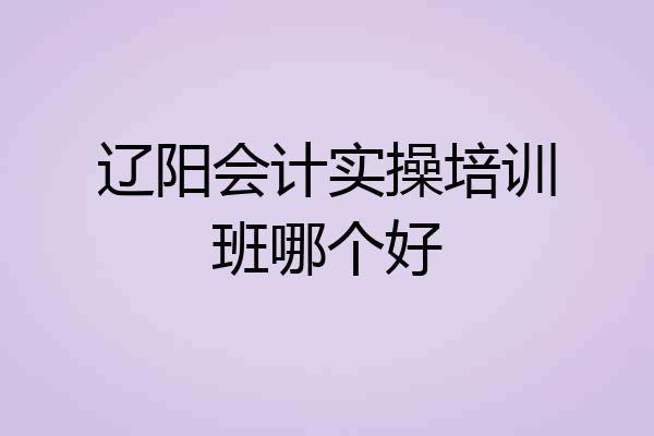 辽阳会计实操培训班哪个好